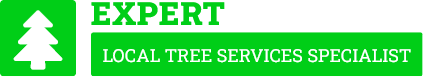 Manawatu Tree Services - Tree Removal Manawatu